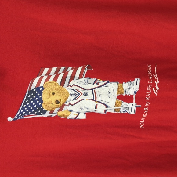 Polo Ralph Lauren Polo Bear USA American Flag Hooded Long Sleeve T-Shirt - Picture 4 of 6